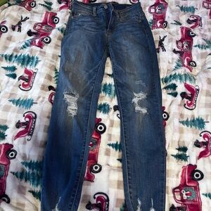 Judy Blue Women's Straight Leg Jeans - Distressed Blue